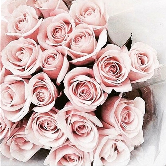 FOLLOW GAME - Picture 4 of 5